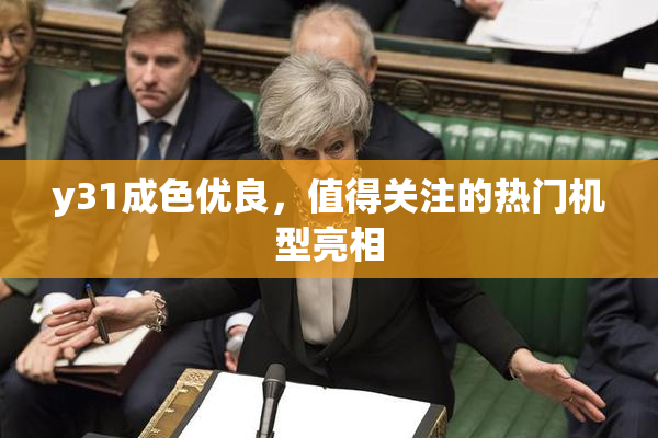y31成色优良，值得关注的热门机型亮相