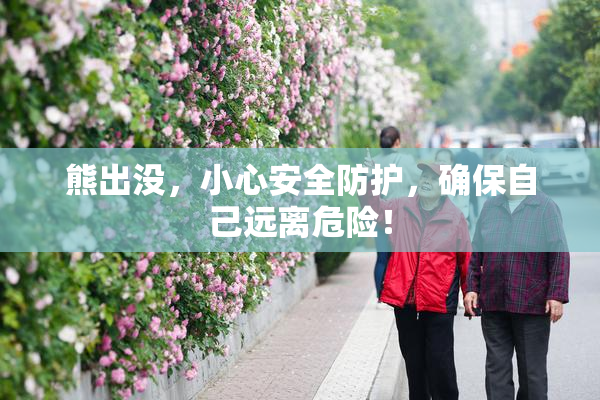 熊出没，小心安全防护，确保自己远离危险！