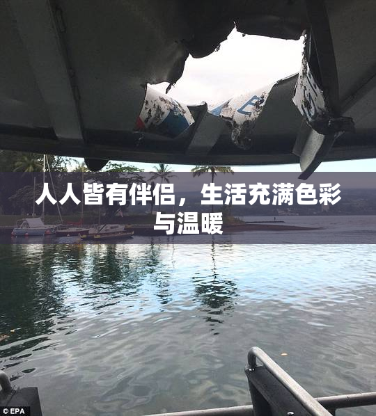 人人皆有伴侣，生活充满色彩与温暖