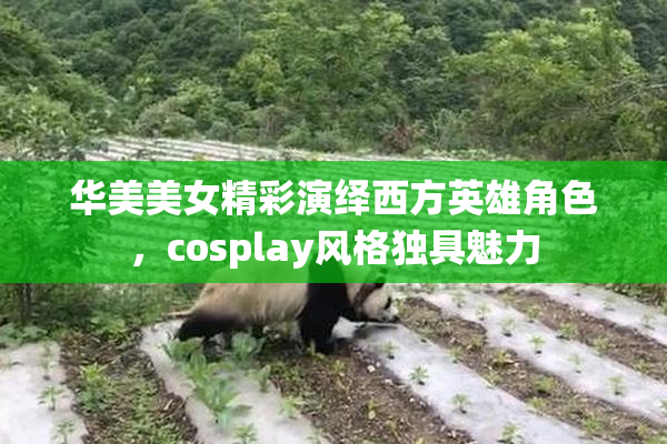 华美美女精彩演绎西方英雄角色，cosplay风格独具魅力