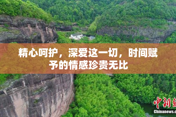 精心呵护，深爱这一切，时间赋予的情感珍贵无比