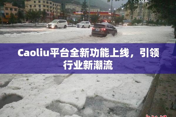 Caoliu平台全新功能上线，引领行业新潮流