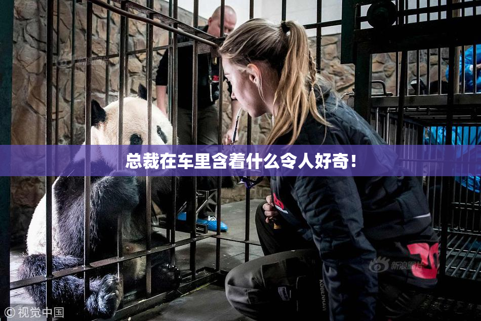 总裁在车里含着什么令人好奇！