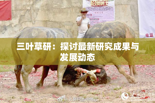 三叶草研：探讨最新研究成果与发展动态