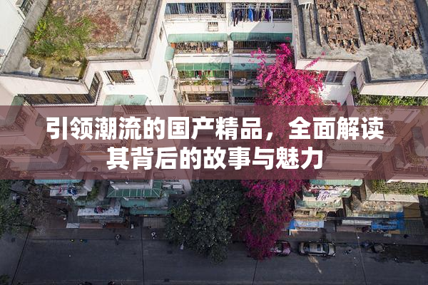 引领潮流的国产精品，全面解读其背后的故事与魅力