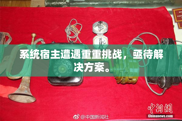 系统宿主遭遇重重挑战，亟待解决方案。