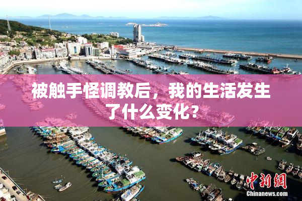 被触手怪调教后，我的生活发生了什么变化？