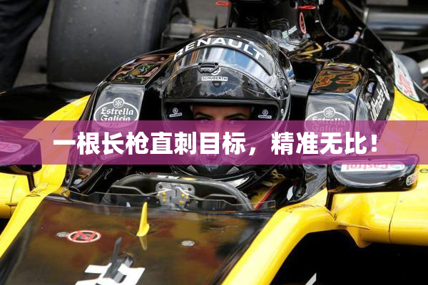 一根长枪直刺目标，精准无比！