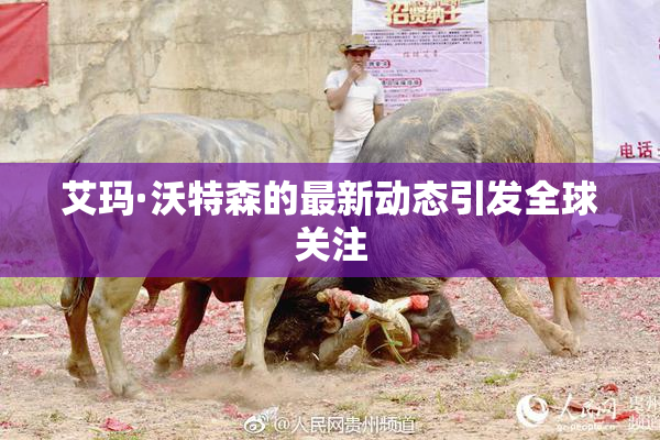 艾玛·沃特森的最新动态引发全球关注