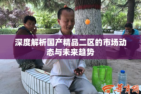 深度解析国产精品二区的市场动态与未来趋势