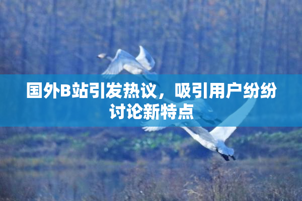 国外B站引发热议，吸引用户纷纷讨论新特点