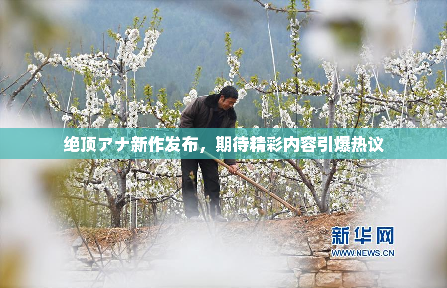绝顶アナ新作发布，期待精彩内容引爆热议