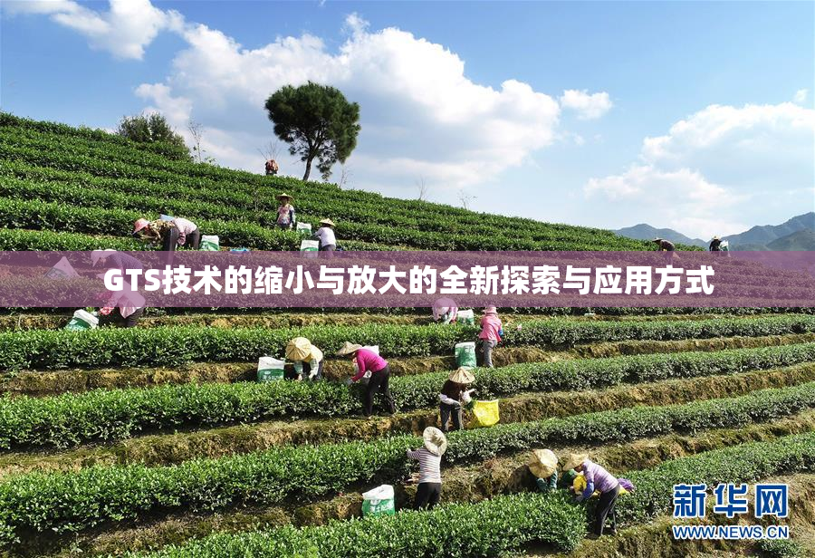 GTS技术的缩小与放大的全新探索与应用方式