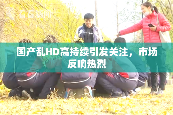 国产乱HD高持续引发关注，市场反响热烈