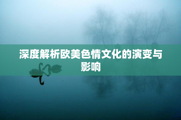 深度解析欧美色情文化的演变与影响