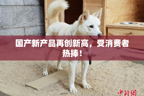 国产新产品再创新高，受消费者热捧！