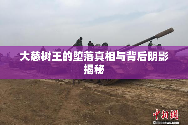 大慈树王的堕落真相与背后阴影揭秘