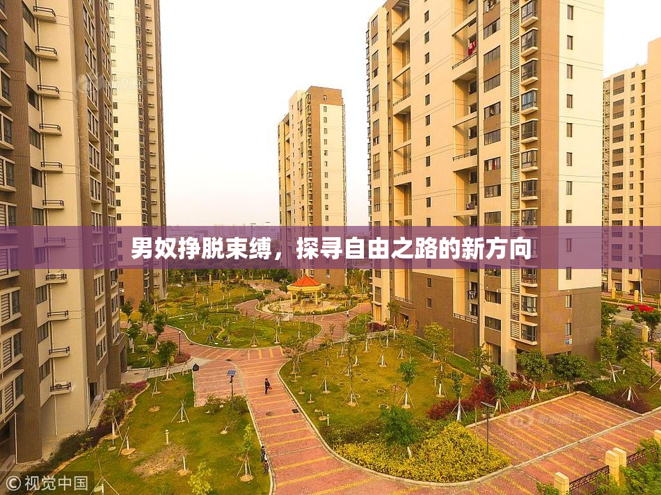 男奴挣脱束缚，探寻自由之路的新方向