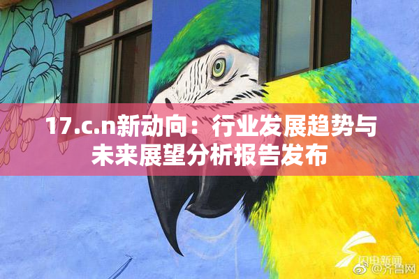 17.c.n新动向：行业发展趋势与未来展望分析报告发布
