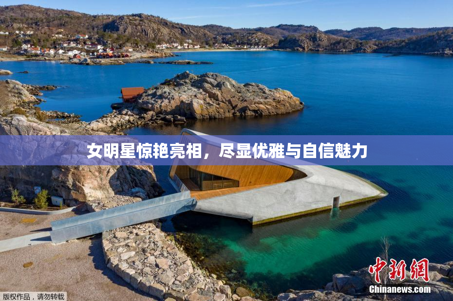 女明星惊艳亮相，尽显优雅与自信魅力