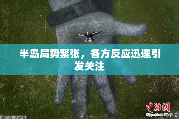 半岛局势紧张，各方反应迅速引发关注