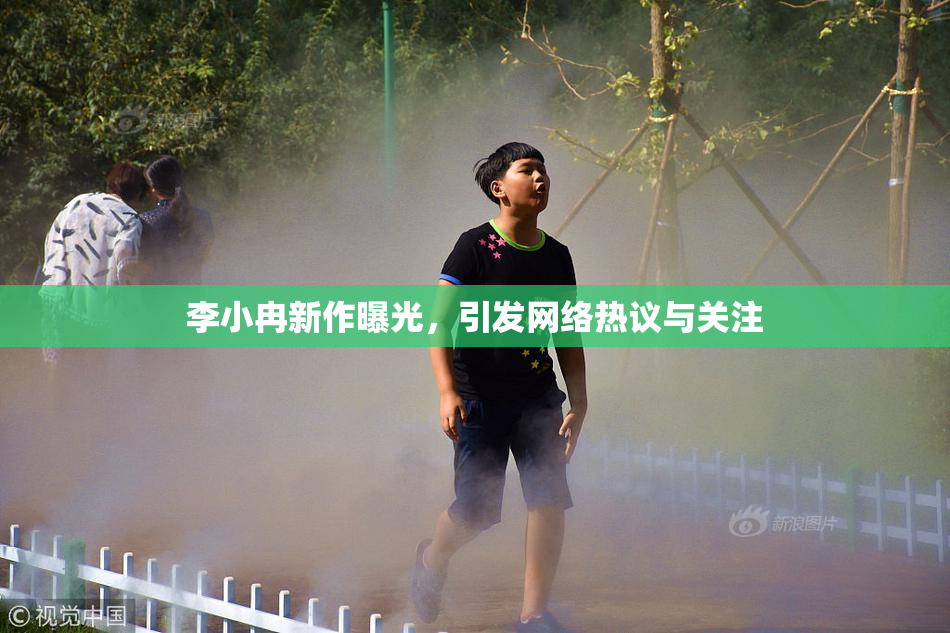 李小冉新作曝光，引发网络热议与关注