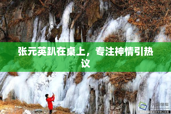 张元英趴在桌上，专注神情引热议