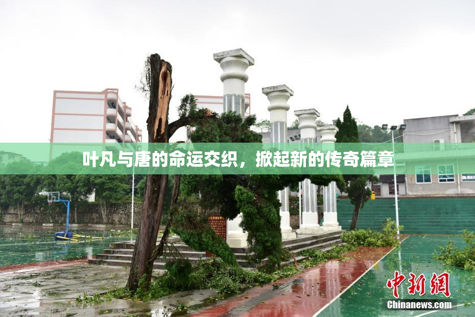 叶凡与唐的命运交织，掀起新的传奇篇章