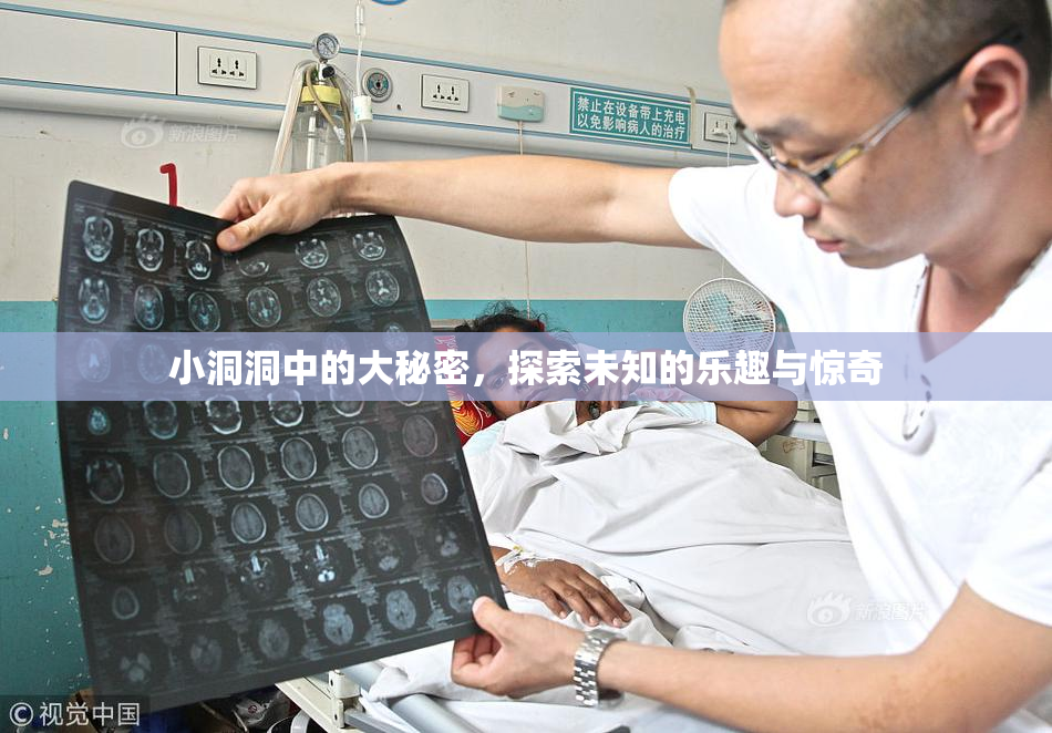 小洞洞中的大秘密，探索未知的乐趣与惊奇