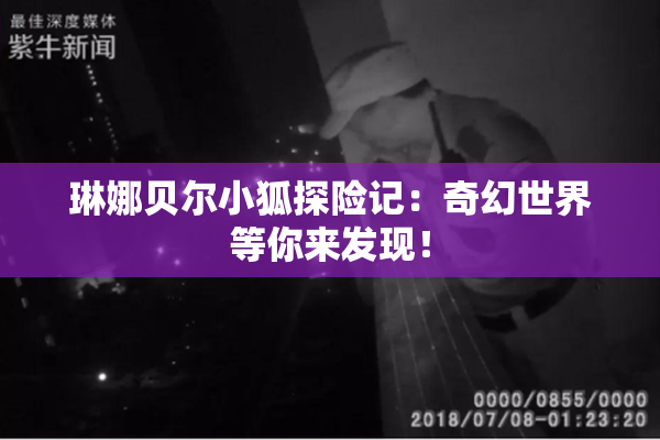 琳娜贝尔小狐探险记：奇幻世界等你来发现！
