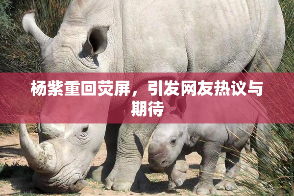 杨紫重回荧屏，引发网友热议与期待