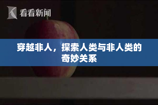 穿越非人，探索人类与非人类的奇妙关系