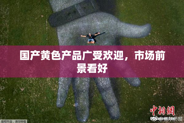 国产黄色产品广受欢迎，市场前景看好