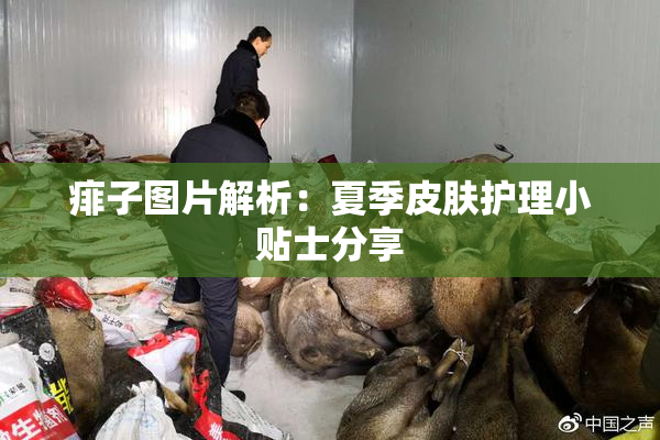 痱子图片解析：夏季皮肤护理小贴士分享