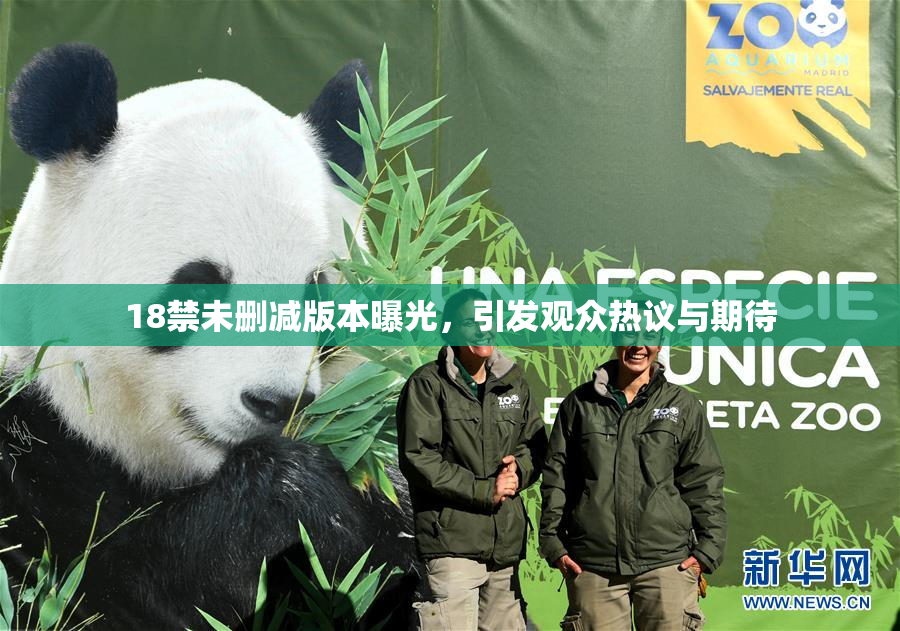 18禁未删减版本曝光，引发观众热议与期待
