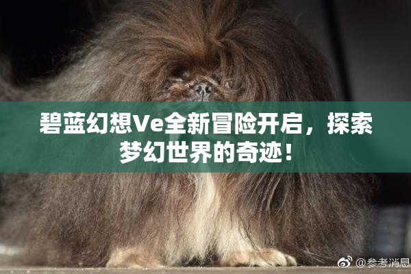 碧蓝幻想Ve全新冒险开启，探索梦幻世界的奇迹！