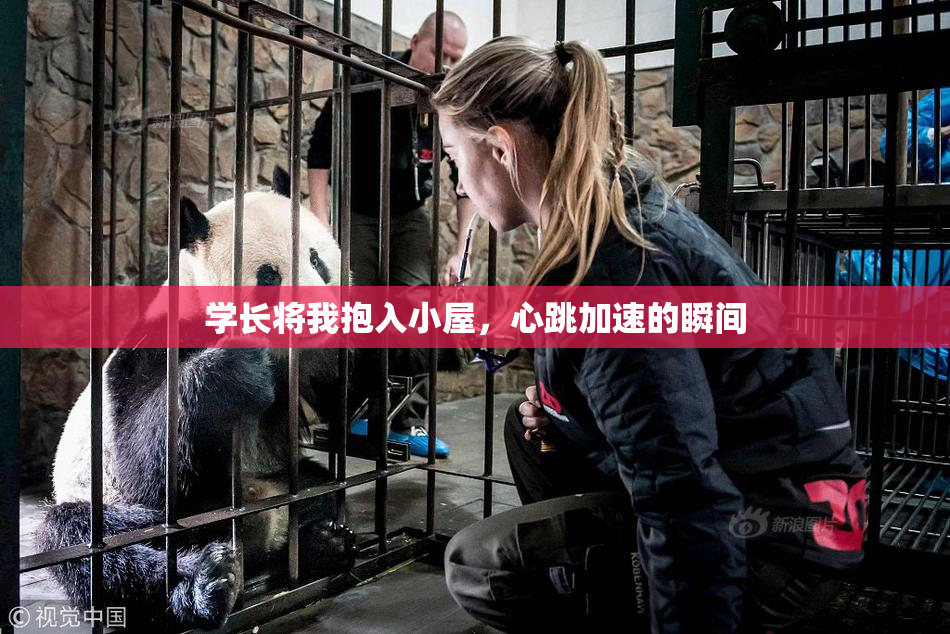 学长将我抱入小屋，心跳加速的瞬间