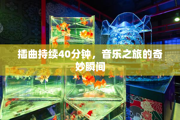 插曲持续40分钟，音乐之旅的奇妙瞬间