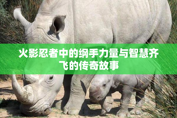 火影忍者中的纲手力量与智慧齐飞的传奇故事