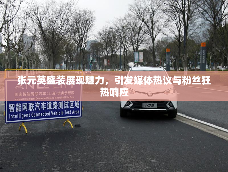 张元英盛装展现魅力，引发媒体热议与粉丝狂热响应
