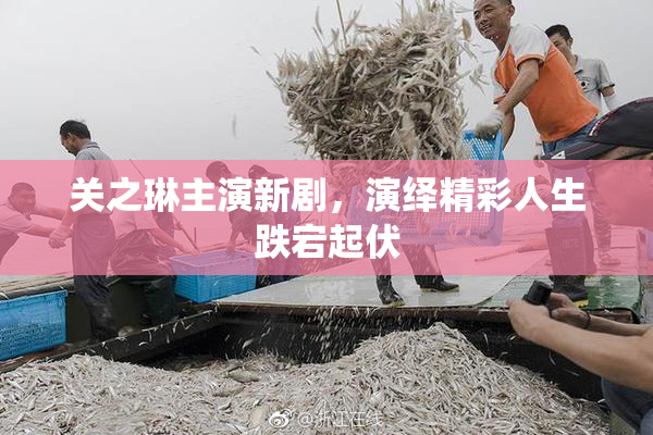 关之琳主演新剧，演绎精彩人生跌宕起伏