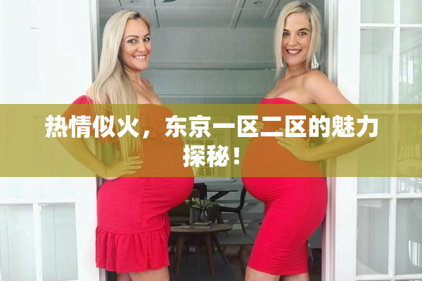 热情似火，东京一区二区的魅力探秘！