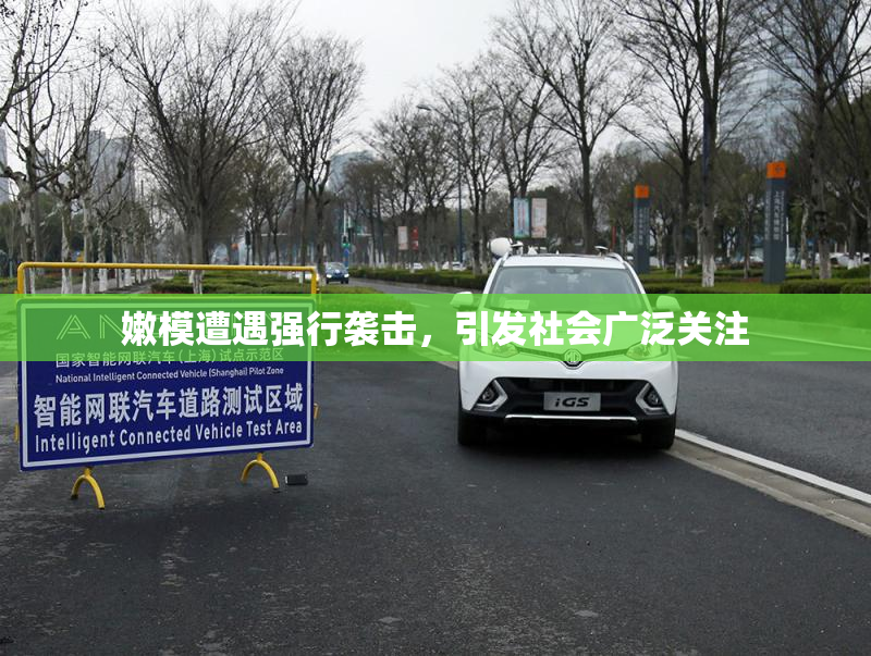嫩模遭遇强行袭击，引发社会广泛关注