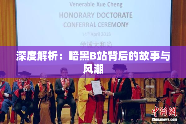 深度解析：暗黑B站背后的故事与风潮