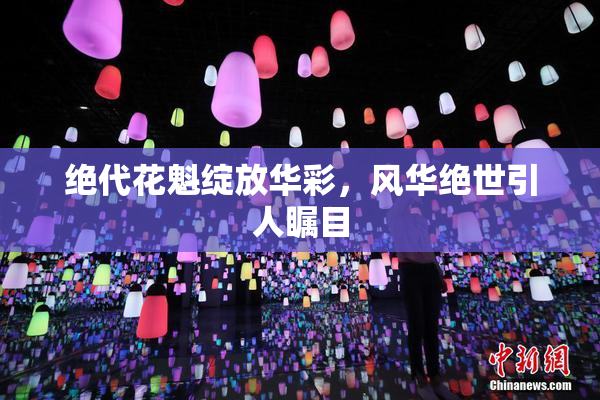 绝代花魁绽放华彩，风华绝世引人瞩目