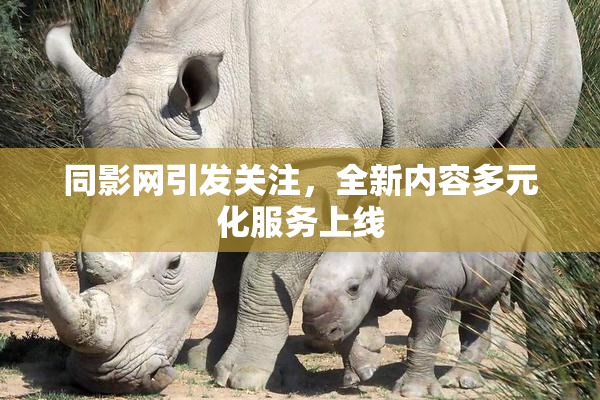 同影网引发关注，全新内容多元化服务上线