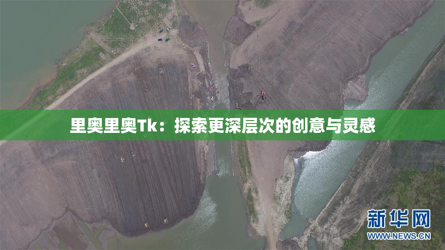 里奥里奥Tk：探索更深层次的创意与灵感