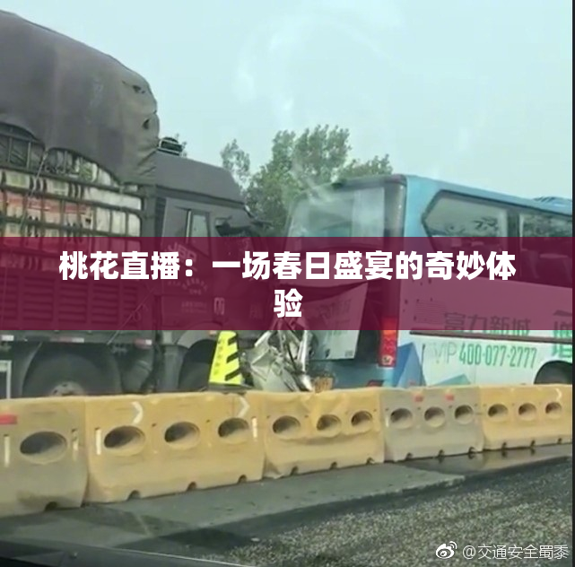 桃花直播：一场春日盛宴的奇妙体验