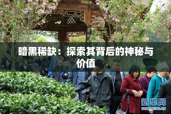 暗黑稀缺：探索其背后的神秘与价值