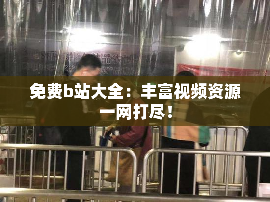 免费b站大全：丰富视频资源一网打尽！
